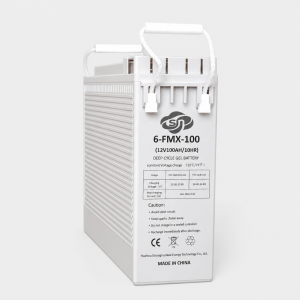 6-FMX-100