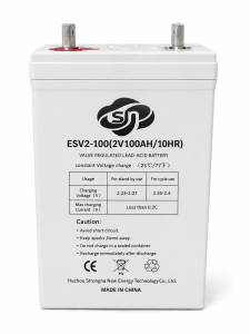 ESV2-100