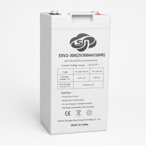 ESV2-300