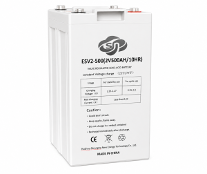 ESV2-500
