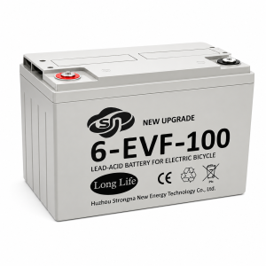 6-EVF-100